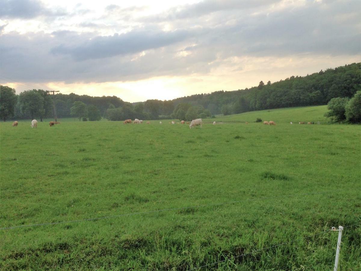 Ferienwohnung Baldus-Westerwald Mogendorf Luaran gambar